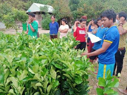 Chi đoàn Ngân hàng Nông nghiệp Phát triển Nông thôn Quảng Nam hỗ trợ phương tiện sinh kế người nghèo