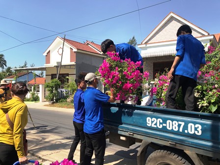 Xây dựng đường hoa tại xã Nông thôn mới kiểu mẫu Tam Thanh